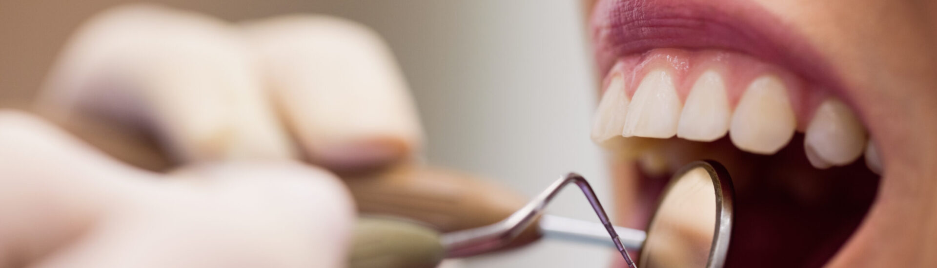 Banner 01